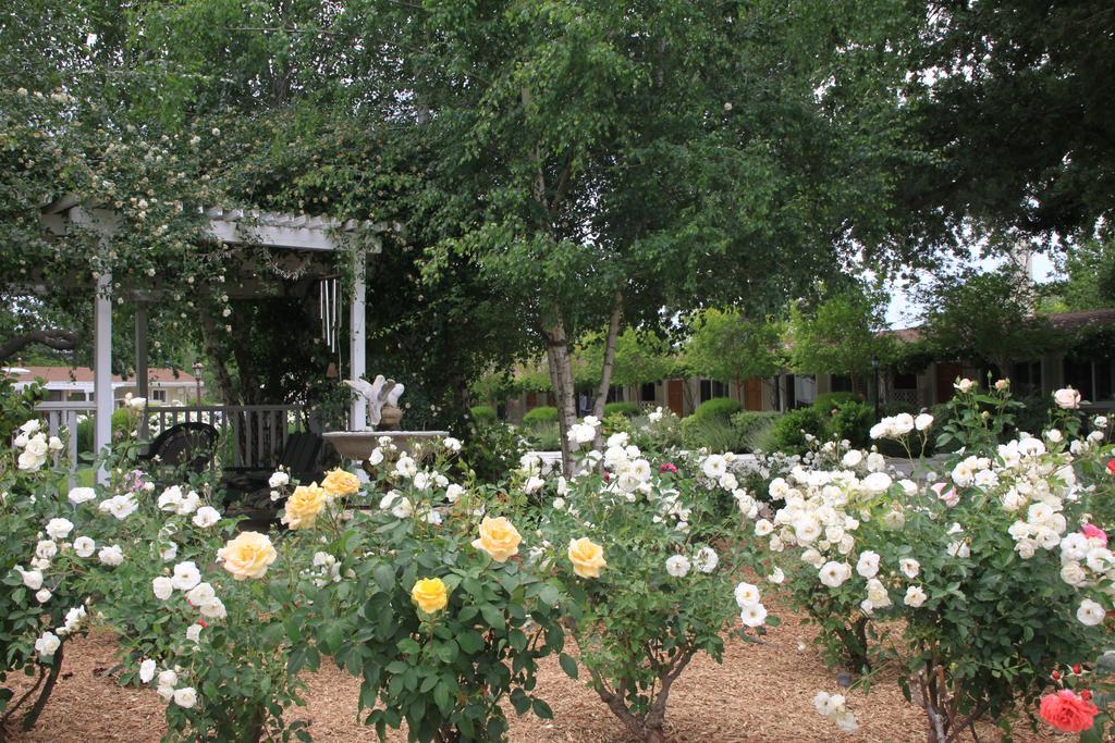 Meadowlark Inn Solvang Exterior photo